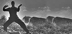 Tai Chi Chuan for health